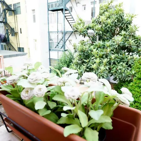 Apartment Catchy @ Campo Pequeno